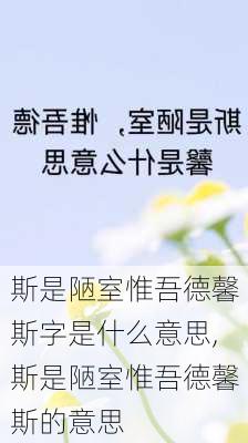 斯是陋室惟吾德馨斯字是什么意思,斯是陋室惟吾德馨斯的意思