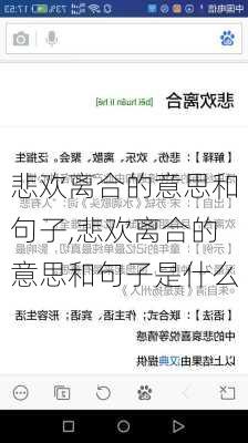 悲欢离合的意思和句子,悲欢离合的意思和句子是什么