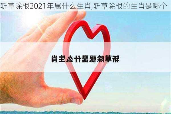 斩草除根2021年属什么生肖,斩草除根的生肖是哪个