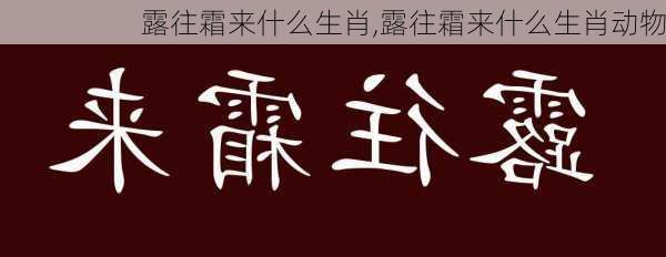 露往霜来什么生肖,露往霜来什么生肖动物