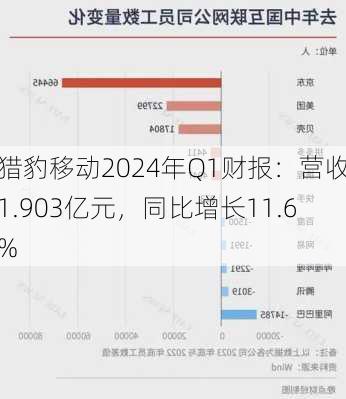 猎豹移动2024年Q1财报：营收1.903亿元，同比增长11.6%