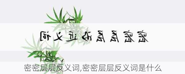 密密层层反义词,密密层层反义词是什么