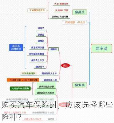 购买汽车保险时，应该选择哪些险种？