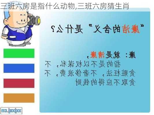 三班六房是指什么动物,三班六房猜生肖