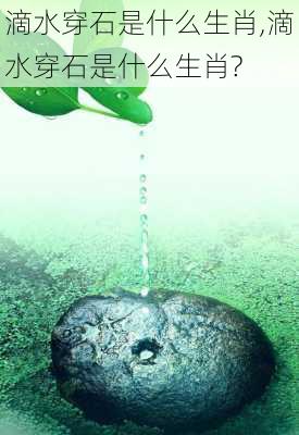 滴水穿石是什么生肖,滴水穿石是什么生肖?