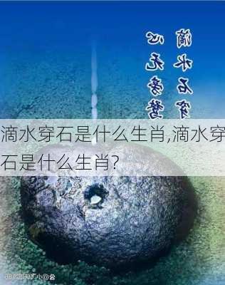 滴水穿石是什么生肖,滴水穿石是什么生肖?