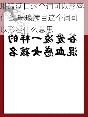 琳琅满目这个词可以形容什么,琳琅满目这个词可以形容什么意思