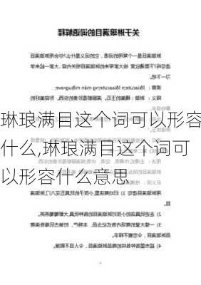 琳琅满目这个词可以形容什么,琳琅满目这个词可以形容什么意思