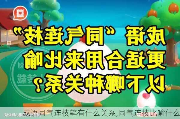 成语同气连枝笔有什么关系,同气连枝比喻什么