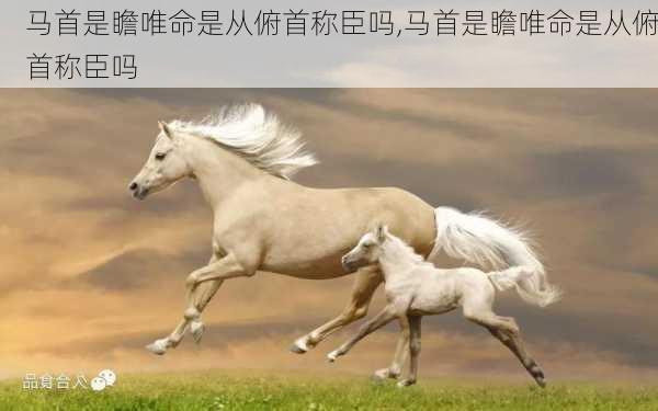 马首是瞻唯命是从俯首称臣吗,马首是瞻唯命是从俯首称臣吗