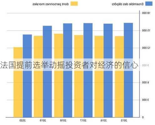 法国提前选举动摇投资者对经济的信心