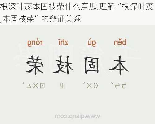 根深叶茂本固枝荣什么意思,理解“根深叶茂,本固枝荣”的辩证关系