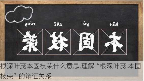 根深叶茂本固枝荣什么意思,理解“根深叶茂,本固枝荣”的辩证关系