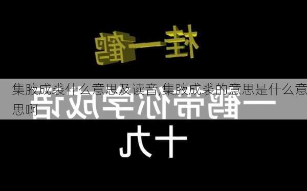 集腋成裘什么意思及读音,集腋成裘的意思是什么意思啊