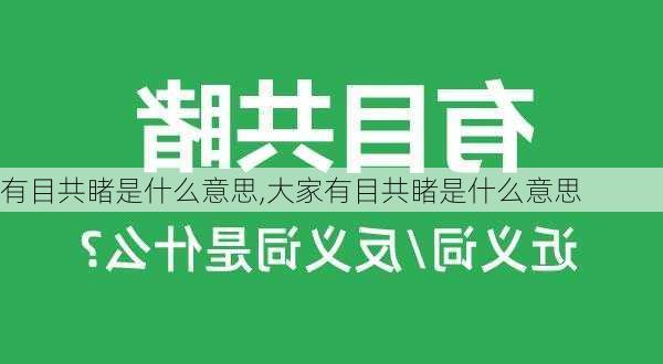 有目共睹是什么意思,大家有目共睹是什么意思