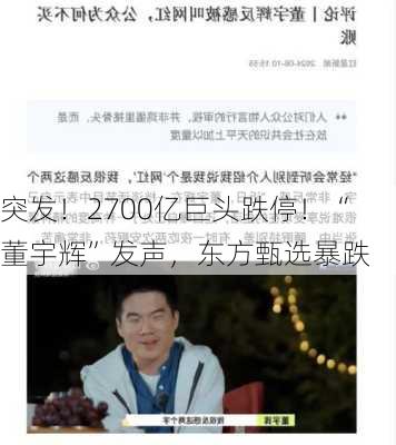 突发！2700亿巨头跌停！“董宇辉”发声，东方甄选暴跌