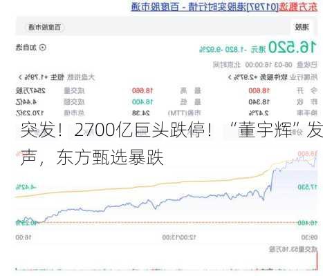 突发！2700亿巨头跌停！“董宇辉”发声，东方甄选暴跌