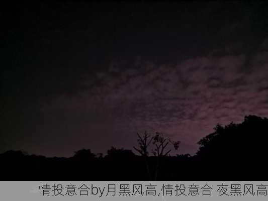 情投意合by月黑风高,情投意合 夜黑风高