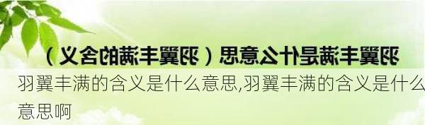 羽翼丰满的含义是什么意思,羽翼丰满的含义是什么意思啊