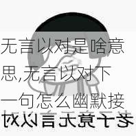 无言以对是啥意思,无言以对下一句怎么幽默接