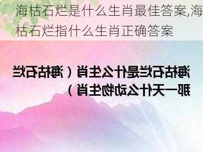 海枯石烂是什么生肖最佳答案,海枯石烂指什么生肖正确答案