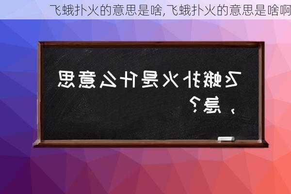 飞蛾扑火的意思是啥,飞蛾扑火的意思是啥啊