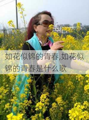 如花似锦的青春,如花似锦的青春是什么歌