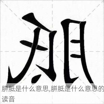 胼胝是什么意思,胼胝是什么意思的读音