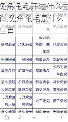 兔角龟毛开过什么生肖,兔角龟毛是什么生肖