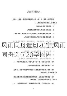 风雨同舟造句20字,风雨同舟造句20字以内