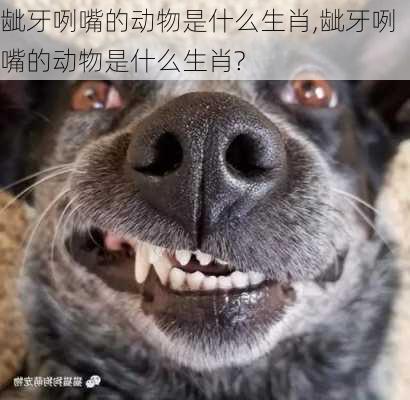 龇牙咧嘴的动物是什么生肖,龇牙咧嘴的动物是什么生肖?