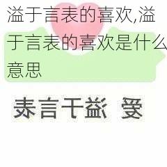 溢于言表的喜欢,溢于言表的喜欢是什么意思