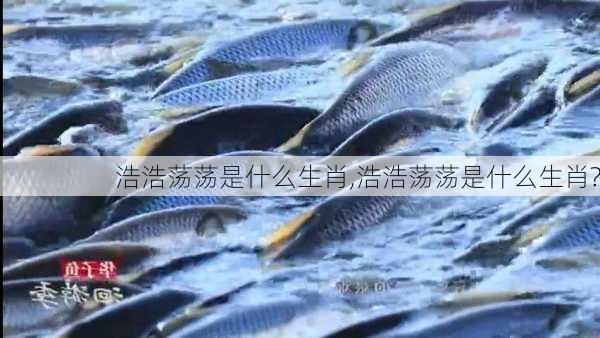 浩浩荡荡是什么生肖,浩浩荡荡是什么生肖?