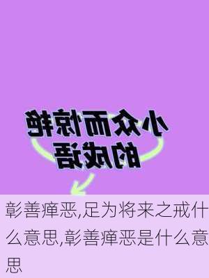 彰善瘅恶,足为将来之戒什么意思,彰善瘅恶是什么意思