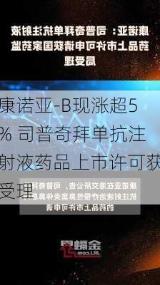 康诺亚-B现涨超5% 司普奇拜单抗注射液药品上市许可获受理