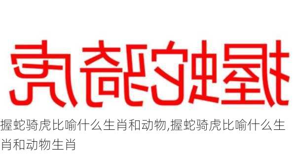 握蛇骑虎比喻什么生肖和动物,握蛇骑虎比喻什么生肖和动物生肖