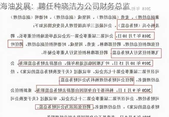 海油发展：聘任种晓洁为公司财务总监