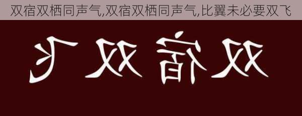 双宿双栖同声气,双宿双栖同声气,比翼未必要双飞