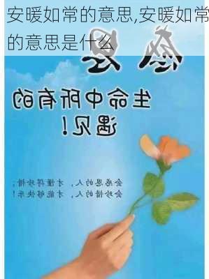 安暖如常的意思,安暖如常的意思是什么