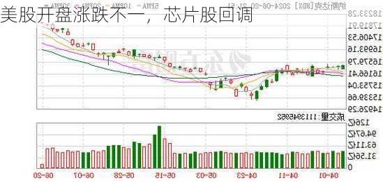 美股开盘涨跌不一，芯片股回调