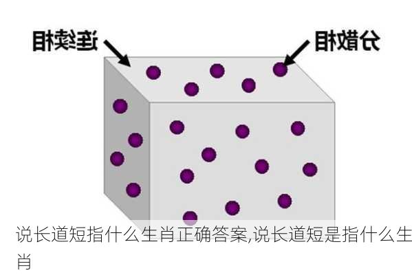 说长道短指什么生肖正确答案,说长道短是指什么生肖