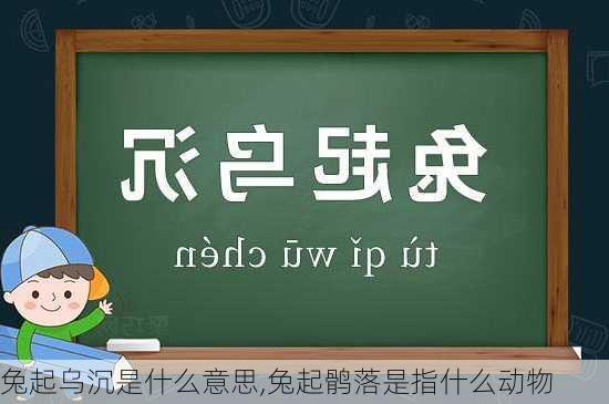 兔起乌沉是什么意思,兔起鹘落是指什么动物