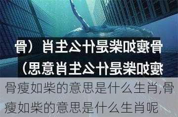 骨瘦如柴的意思是什么生肖,骨瘦如柴的意思是什么生肖呢