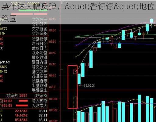 英伟达大幅反弹，