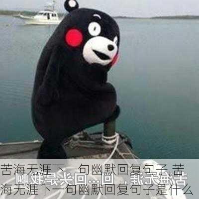 苦海无涯下一句幽默回复句子,苦海无涯下一句幽默回复句子是什么