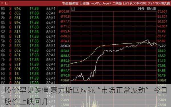 股价罕见跌停 赛力斯回应称“市场正常波动” 今日股价止跌回升