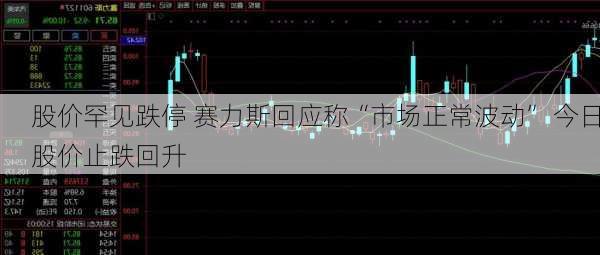 股价罕见跌停 赛力斯回应称“市场正常波动” 今日股价止跌回升