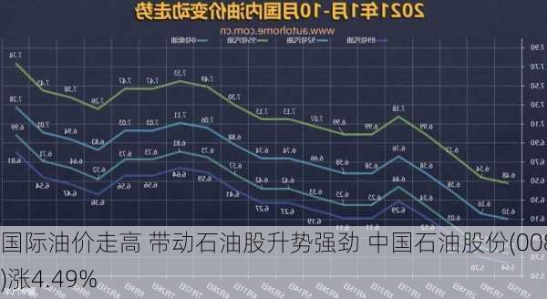 国际油价走高 带动石油股升势强劲 中国石油股份(00857)涨4.49%