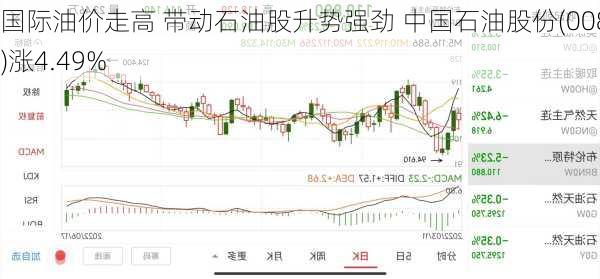 国际油价走高 带动石油股升势强劲 中国石油股份(00857)涨4.49%