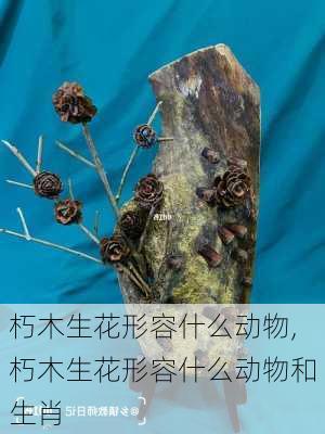 朽木生花形容什么动物,朽木生花形容什么动物和生肖